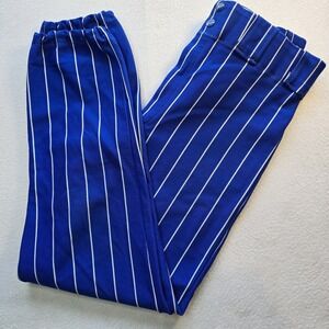 Vtg 70s Southern Athletic Pinstripe Baseball Pants Blue White Knicker Mens M USA